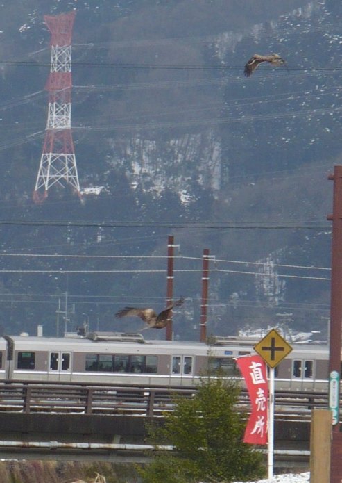 a0063364_2371655.jpg