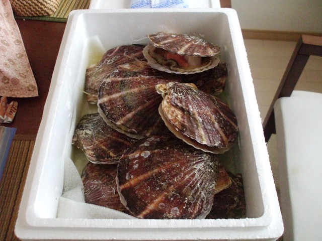 f0131165_22203826.jpg