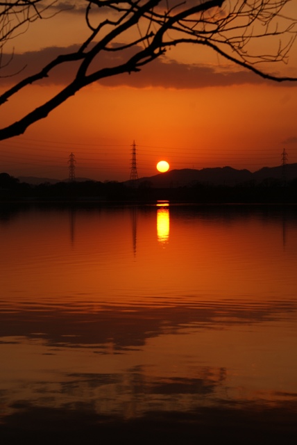 a0091666_1843237.jpg