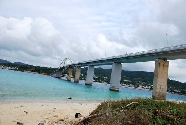 b0174068_2346690.jpg
