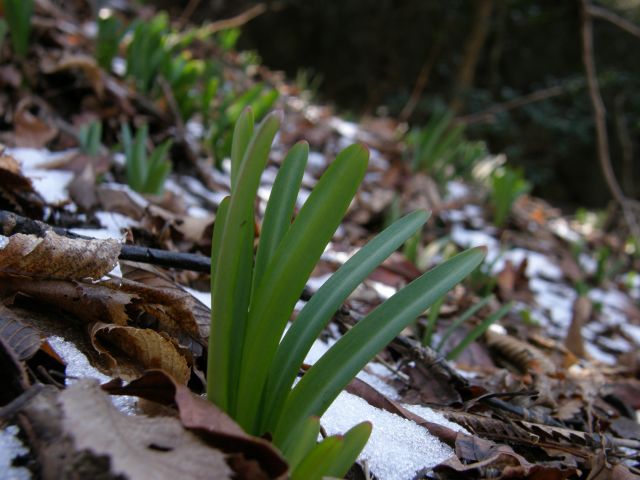 c0042869_19402340.jpg