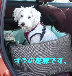 f0203369_15353480.jpg