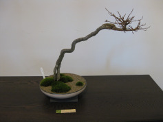 c0212770_014782.jpg
