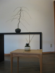 c0212770_0155599.jpg