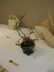 c0212770_0303890.jpg