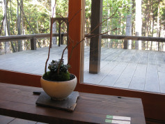 c0212770_03314.jpg