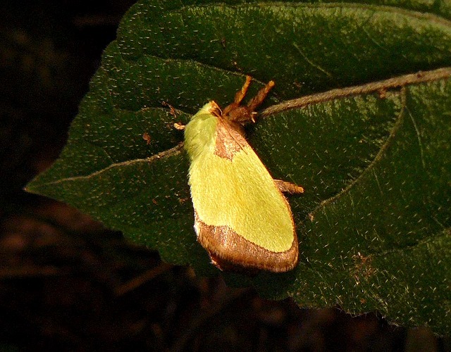 d0019074_1654821.jpg