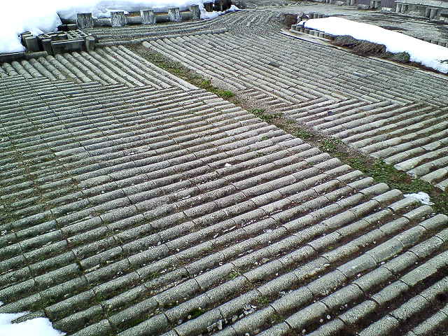 f0045776_19431034.jpg