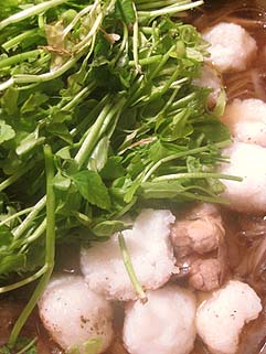 f0056476_1711362.jpg