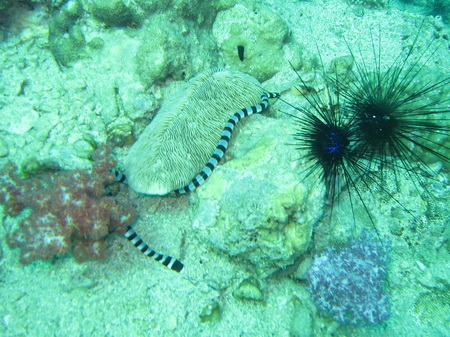 a0002177_20404116.jpg