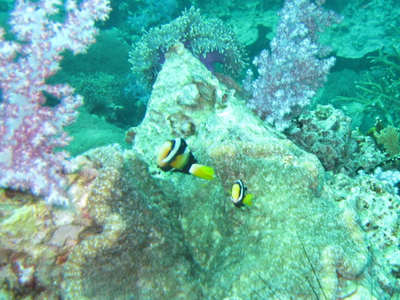 a0002177_20421935.jpg