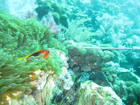 a0002177_2056085.jpg