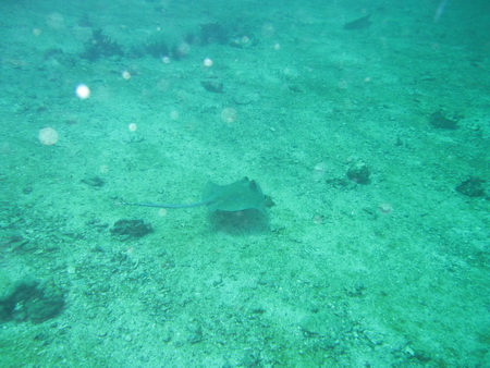 a0002177_2172862.jpg