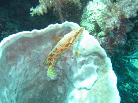 a0002177_2183035.jpg
