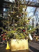 c0105680_10101120.jpg