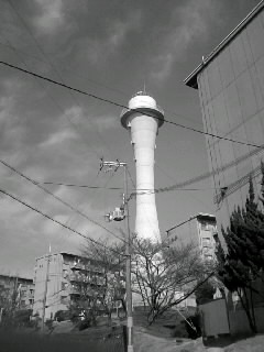 f0100480_2210871.jpg