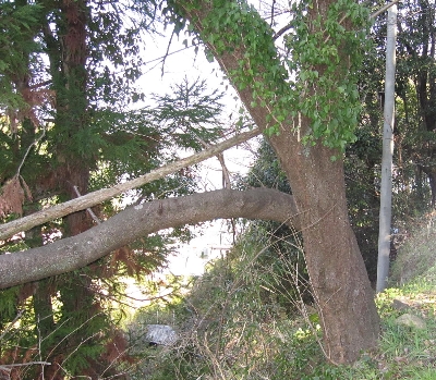 f0003283_18374946.jpg