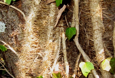 f0003283_18382346.jpg