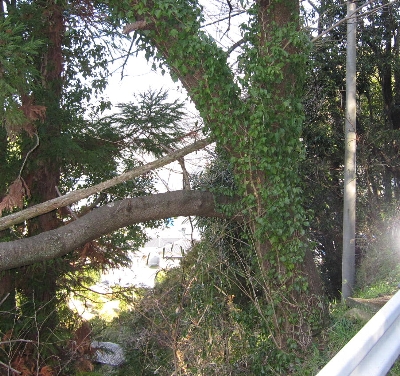 f0003283_18442050.jpg