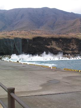 c0204385_1884541.jpg