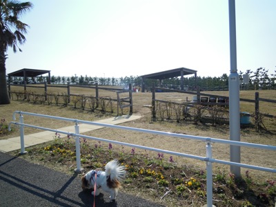 d0044986_14581065.jpg