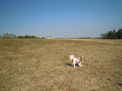 d0044986_150534.jpg