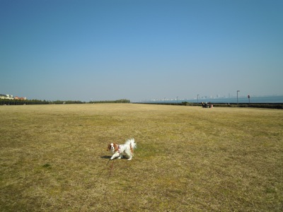 d0044986_159975.jpg