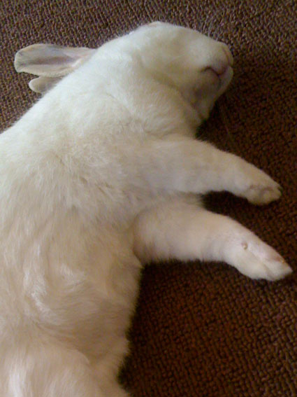 f0201191_10505851.jpg