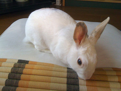 f0201191_13306.jpg