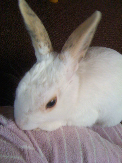 f0201191_175318.jpg