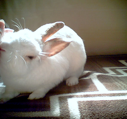 f0201191_184124.jpg