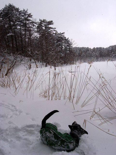 a0093592_061692.jpg