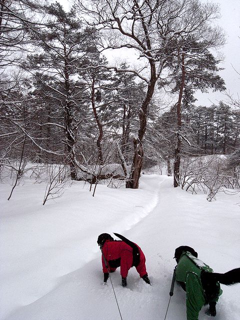 a0093592_23171789.jpg