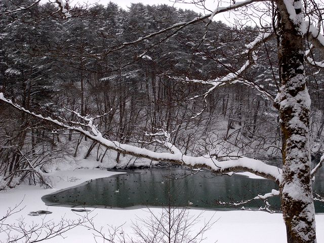 a0093592_23374686.jpg