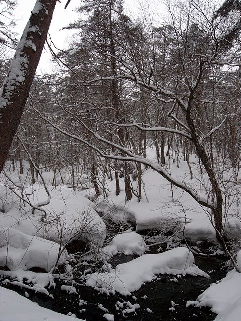 a0093592_23525756.jpg