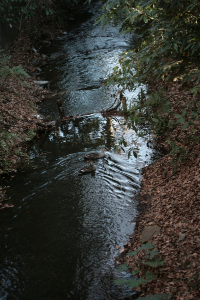 d0133693_22325666.jpg