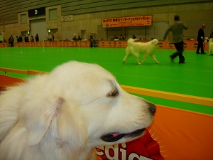 e0158895_2010091.jpg