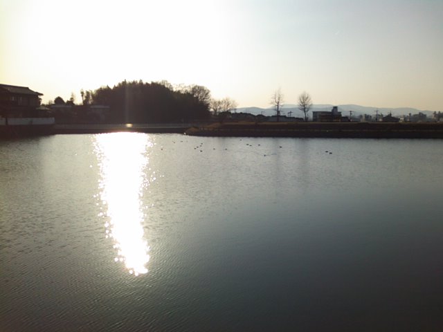 f0077595_16402564.jpg