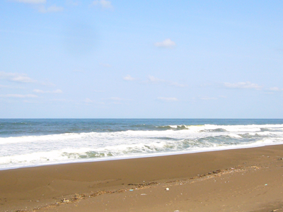 a0079098_21262191.jpg