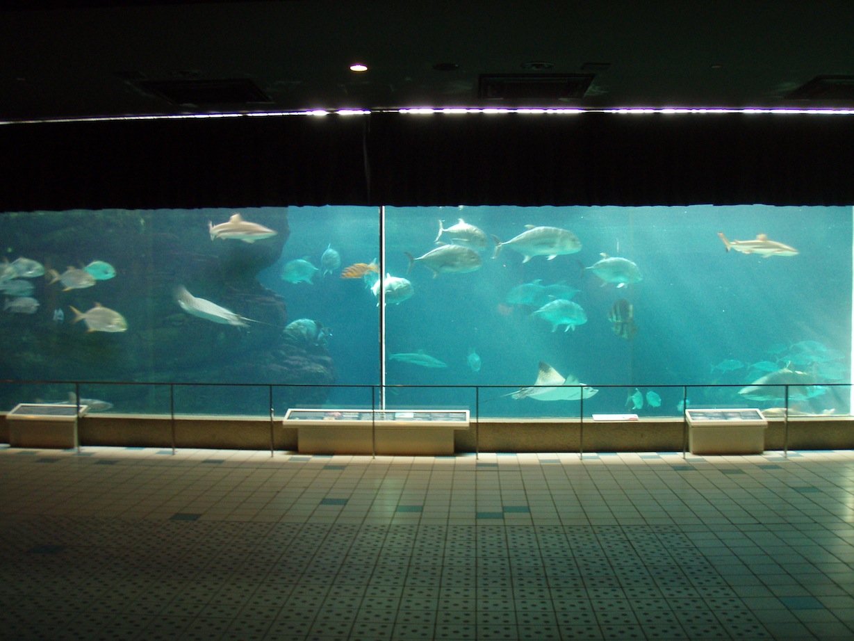a0145901_2231487.jpg