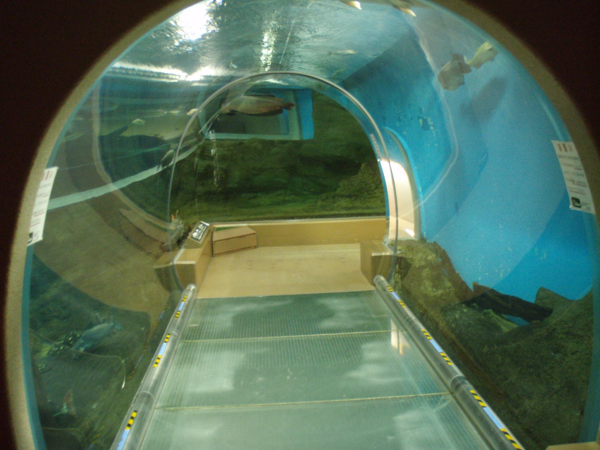 a0145901_22385743.jpg