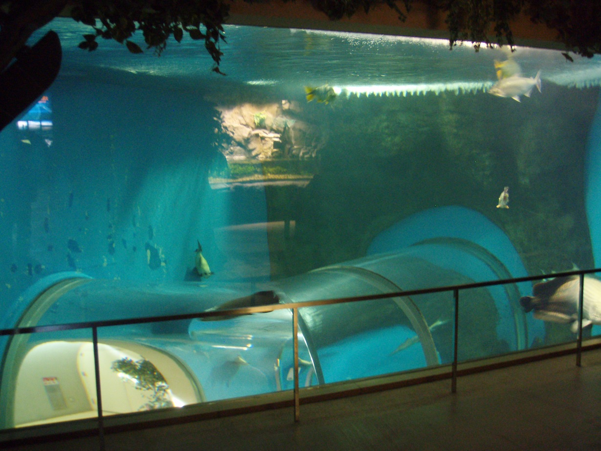 a0145901_22394622.jpg