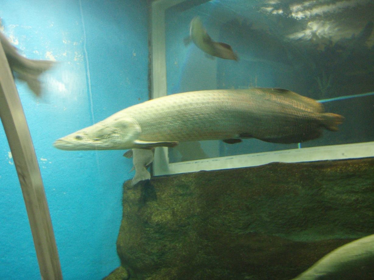 a0145901_22404925.jpg