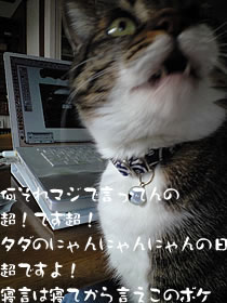 c0035001_16421181.jpg