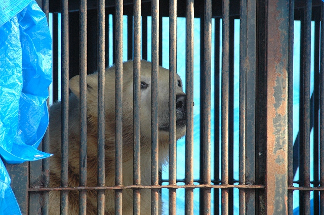 f0157901_203061.jpg