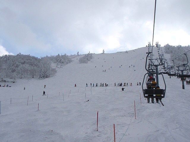b0187505_11373123.jpg