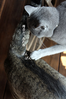 e0156015_18332100.jpg