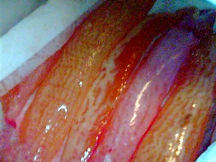 e0124916_20443537.jpg