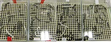 f0191517_1259426.jpg