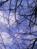 e0112619_0283631.jpg